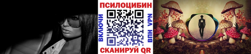 Псилоцибиновые грибы MAGIC MUSHROOMS  купить наркотик  Емва 